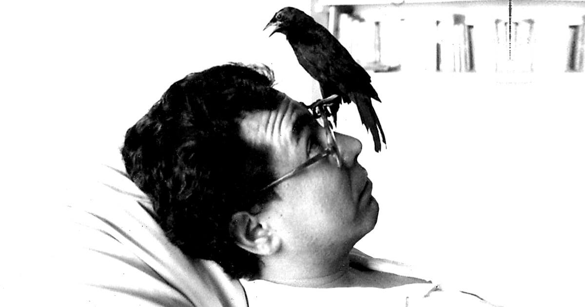 Sobre Amizade por Ryoki Inoue